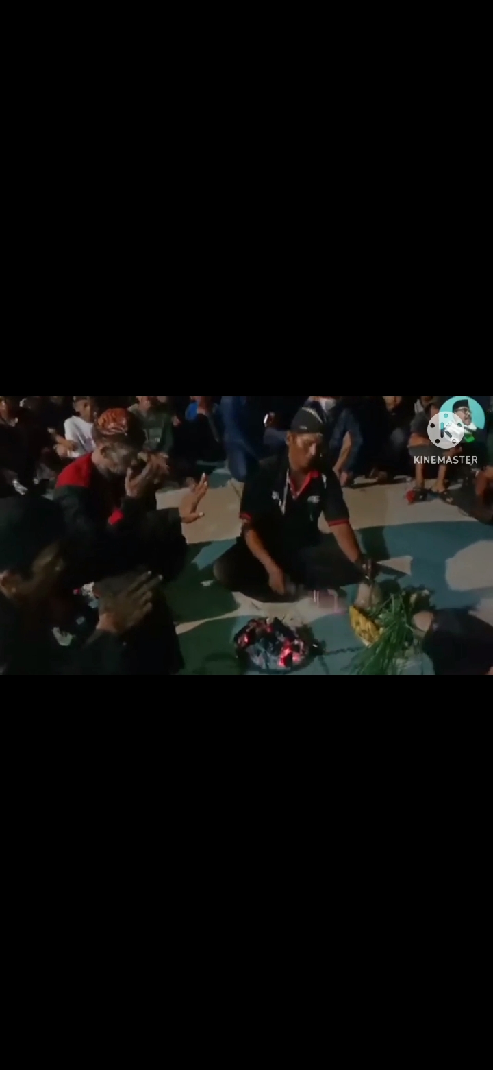 Kuda Lumping Rogo Sukmo Sejati Macan