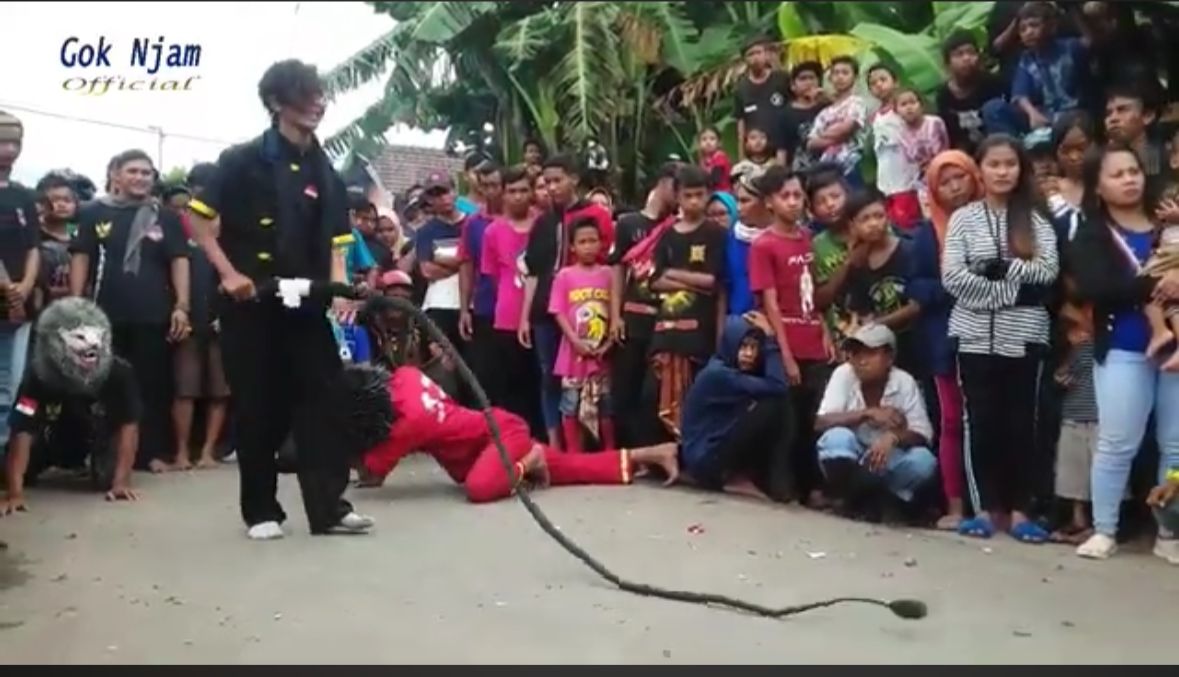 MACAN KEMBAR PUTRO PANDAN ARUM SARI