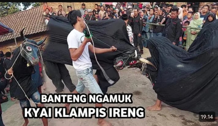 Bantengan dan pencak silat kyai klampis ireng