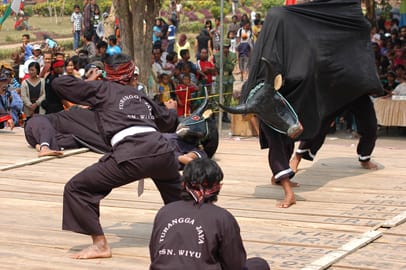 Bantengan Turangga Jaya