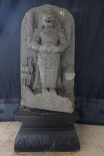 NARASIMHA